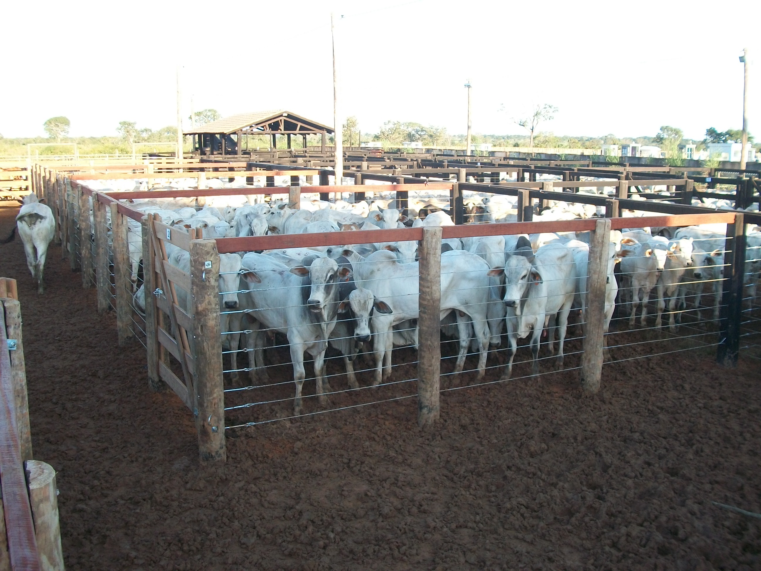 DIREITOS RESERVADOS(4).jpg