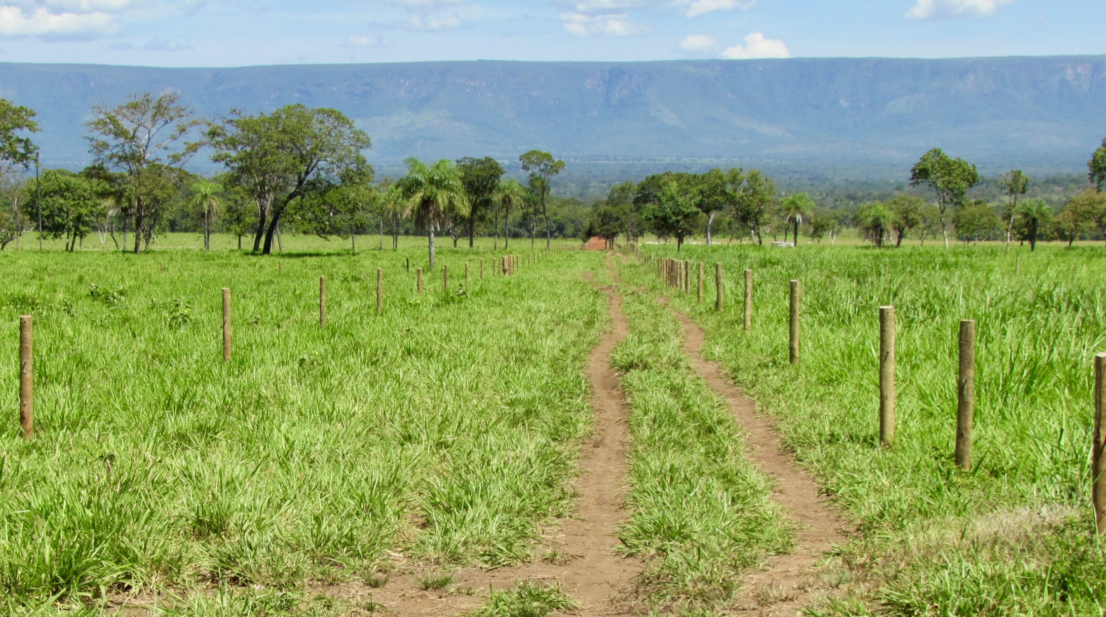 DIREITOS RESERVADOS(1).jpg