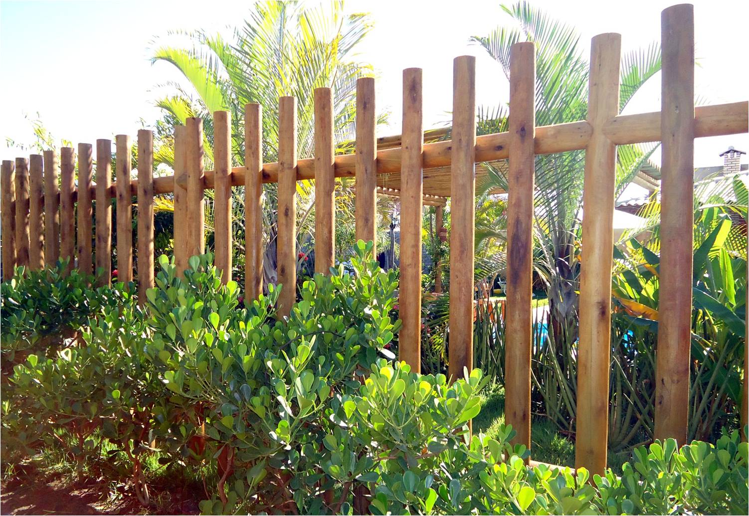 DIREITOS RESERVADOS(3).jpg