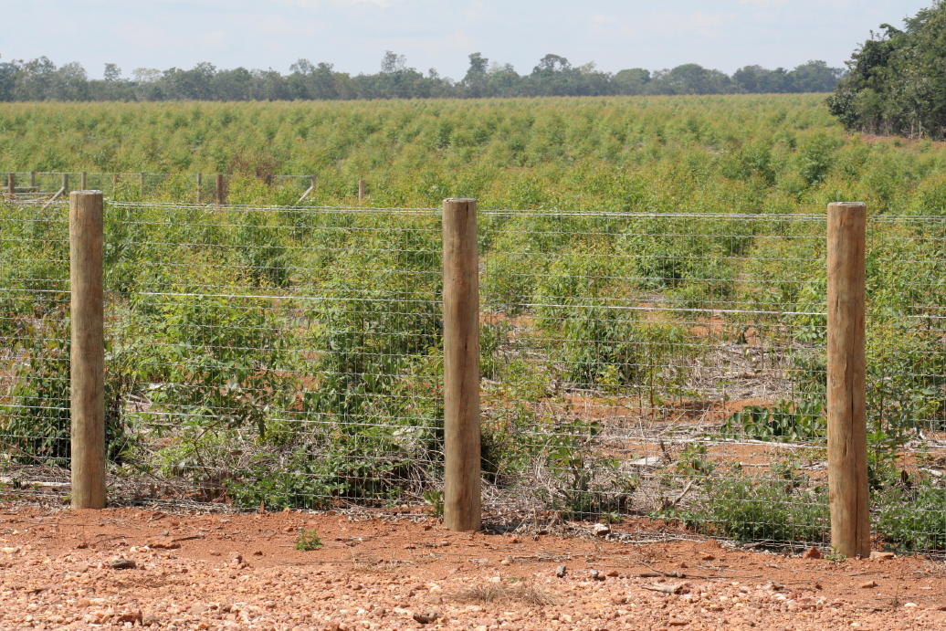 DIREITOS RESERVADOS(2).jpg